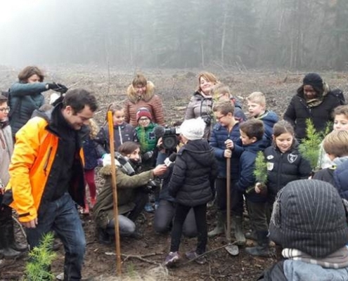 deckibois plantons pour l'avenir