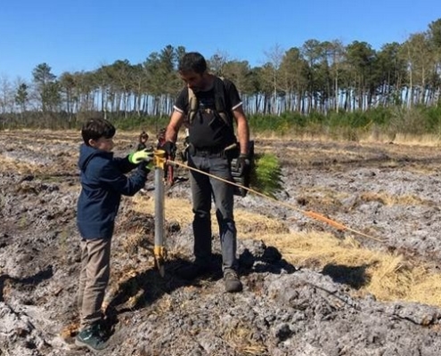 avec deckibois 1 pour cent pour la forêt