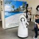 le robot d’accueil cruzr gère seul un showroom de terrasses