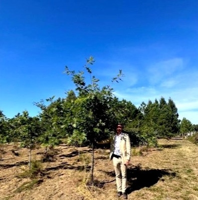 Plantons pour l'avenir présente un Chêne 12 ans après sa plantation